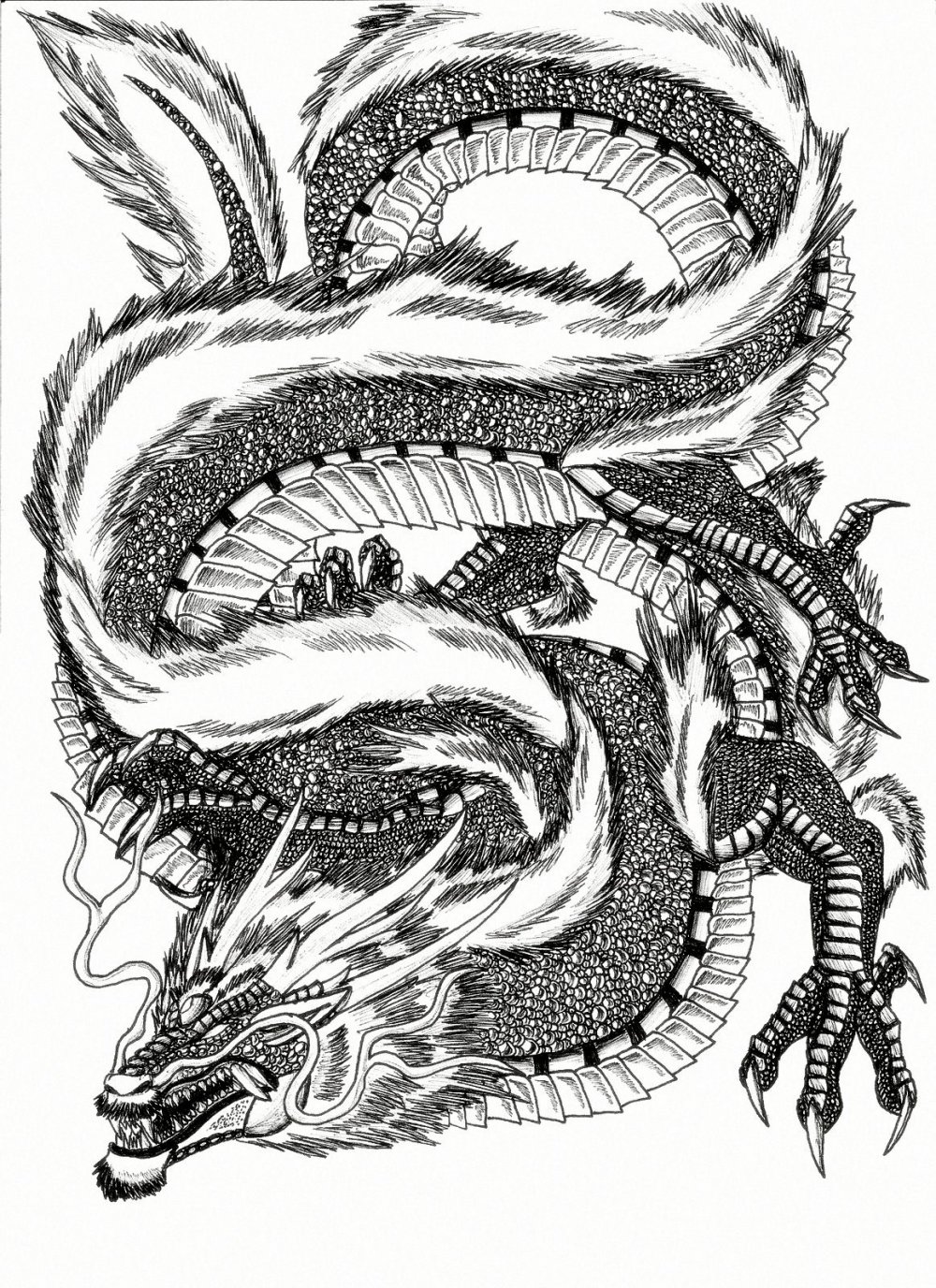 Китайский дракон Графика