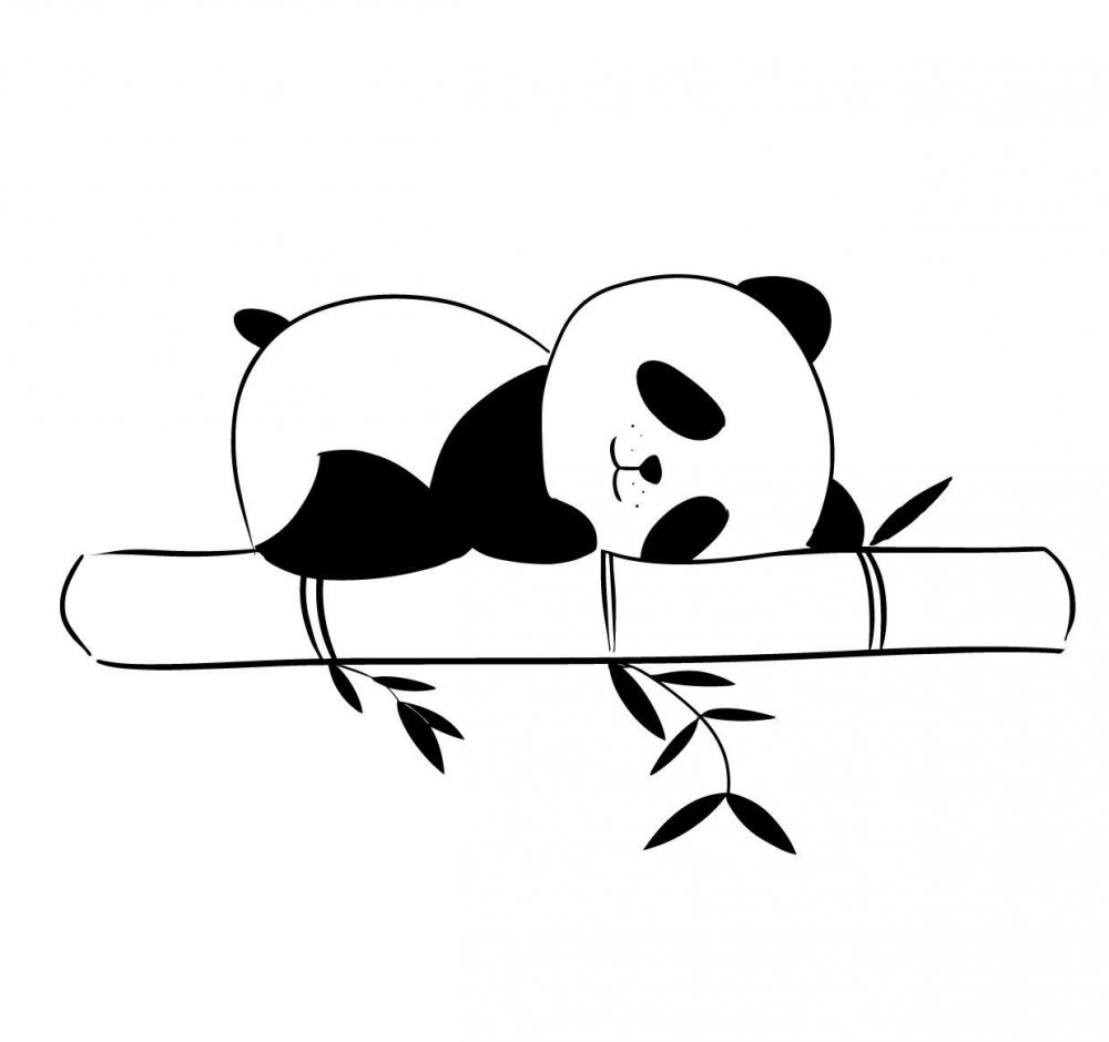 Раскраска Панда с бамбуком