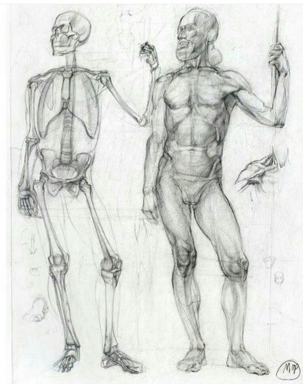 Тело человека рисунок
