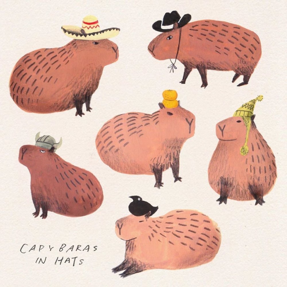Capybara рисунок