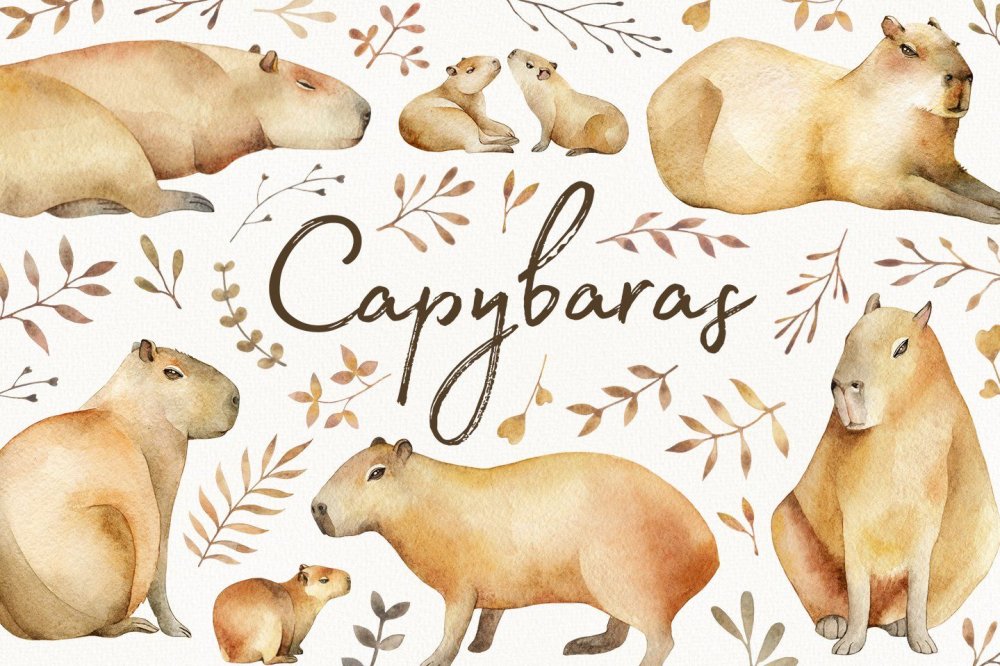 Cute Winter Capybara drawings