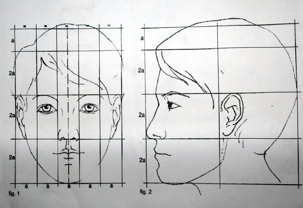Портрет (конструкция головы человека. Анфас, профиль)