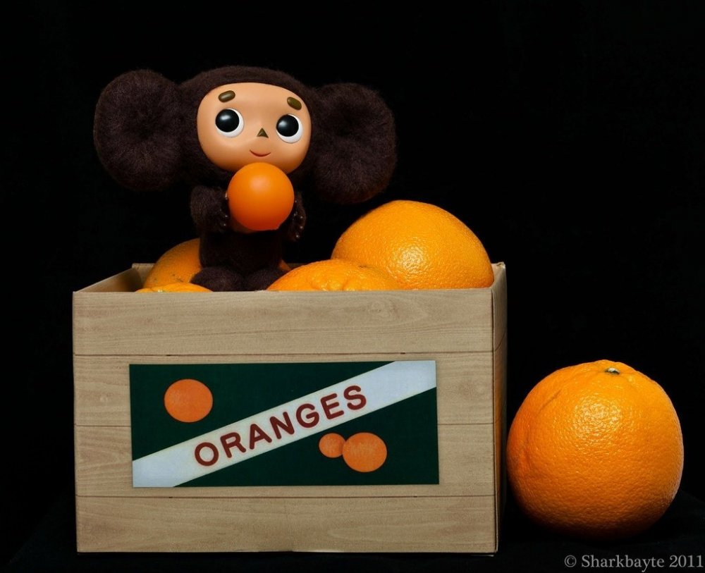 Чебурашка апельсины мультфильм
