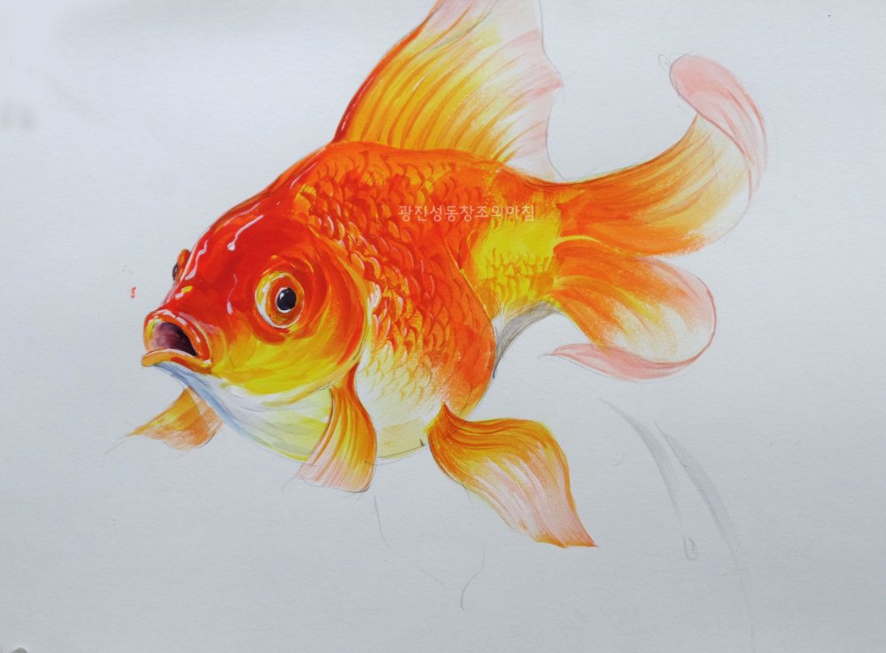 Золотая рыба рисунок цветной