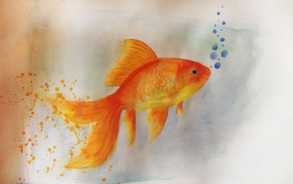 Оранжевая рыбка акварель простая