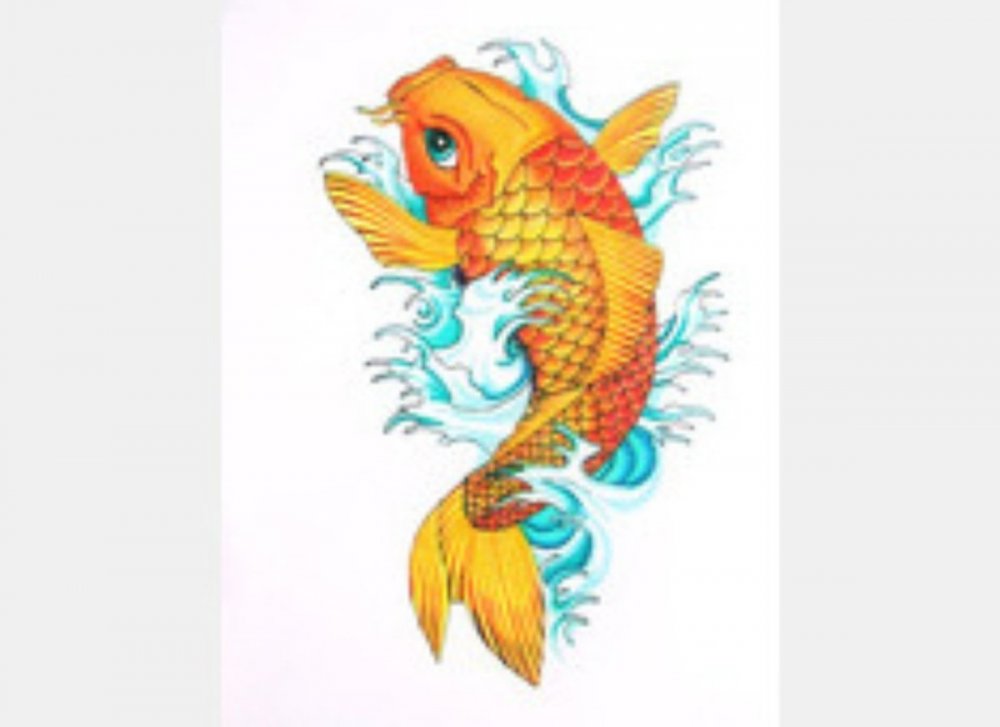 Рыбы эскиз цветной