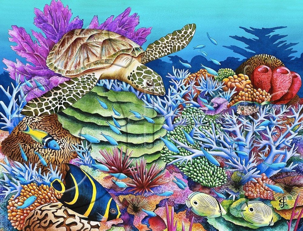 Коралловый риф картина