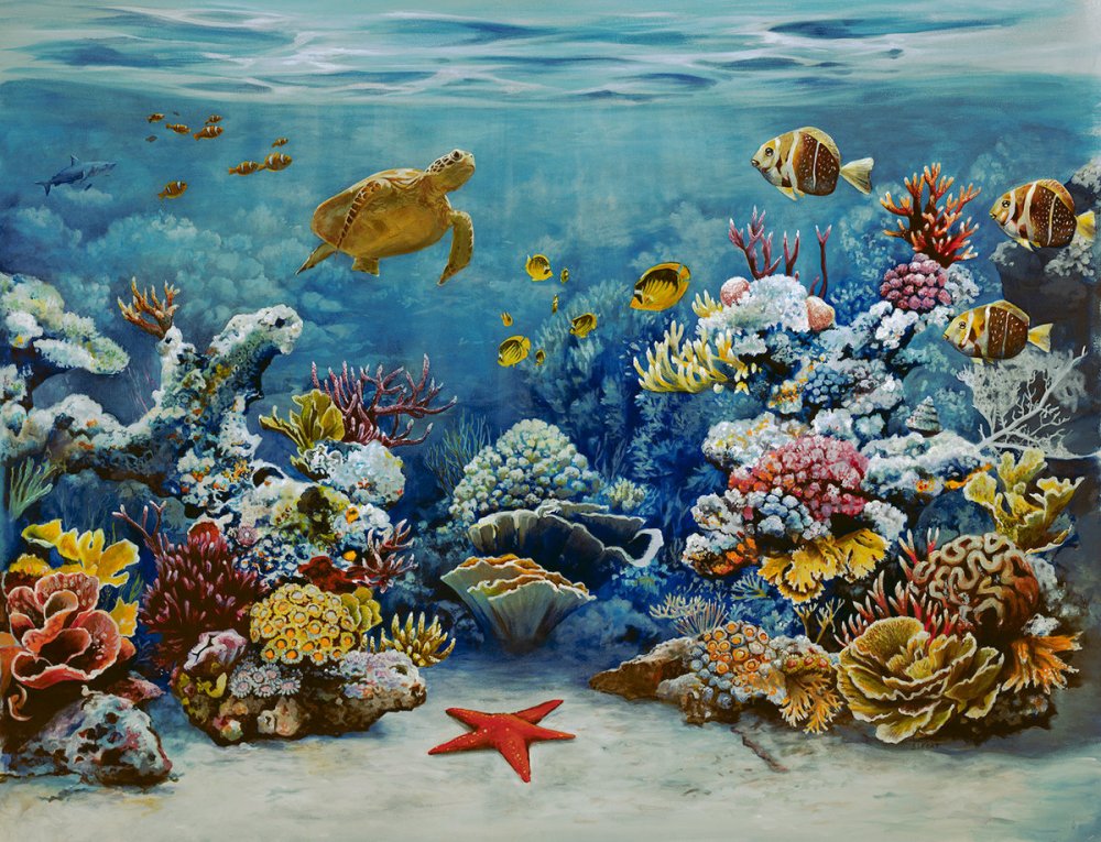 Аквар коралловый риф