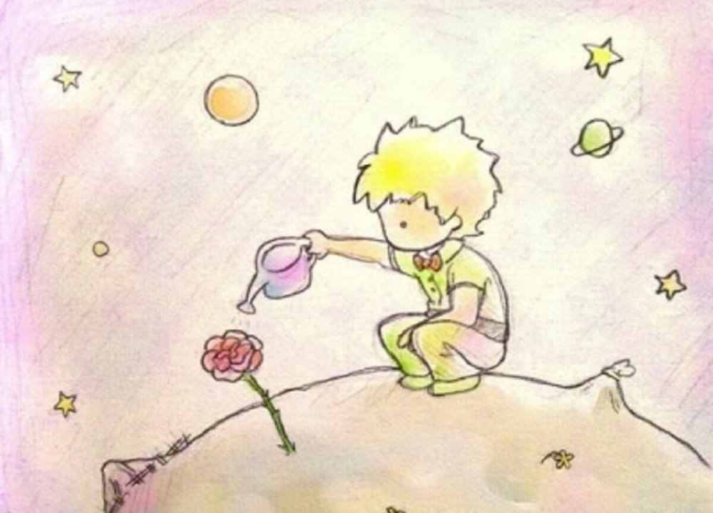 Маленький принц иллюстрации Экзюпери роза