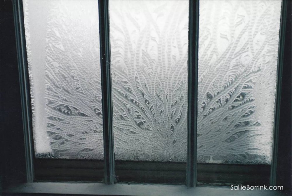 Узоры на окнах от Мороза