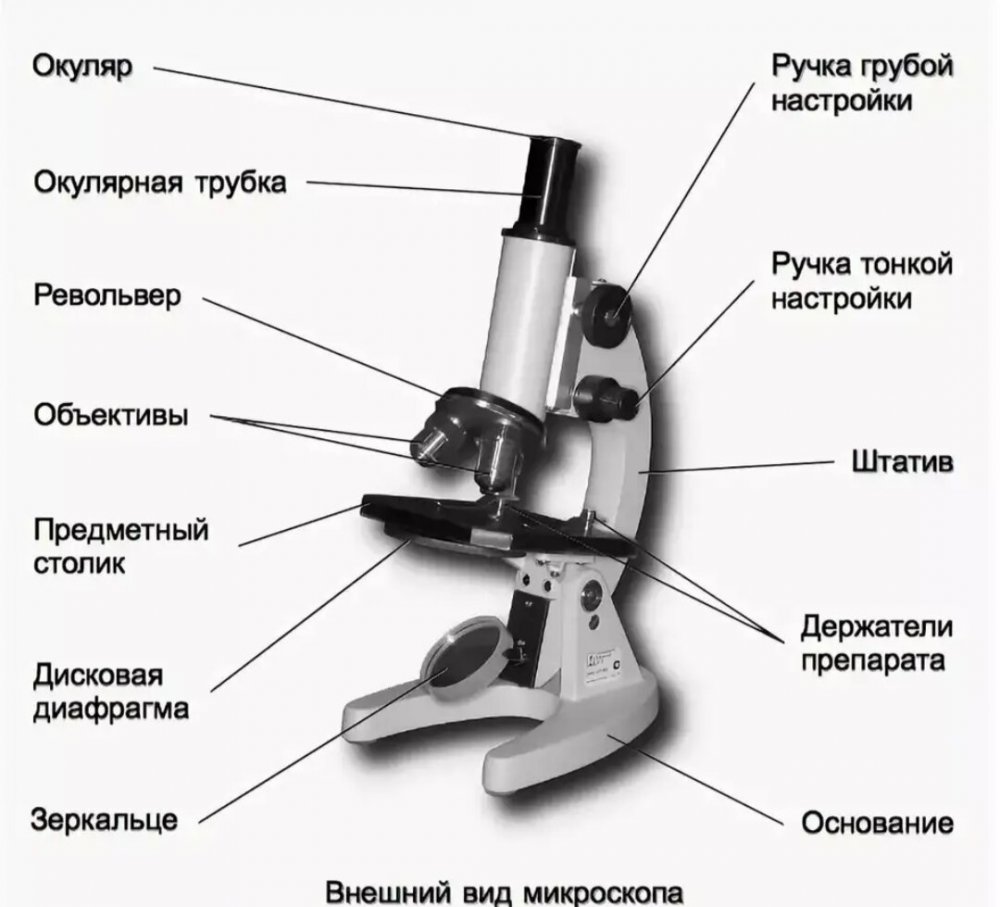 Микроскоп строение и функции