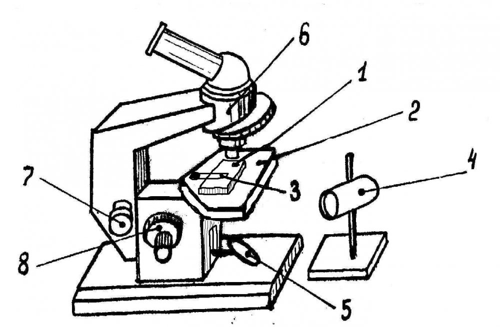 Микроскоп школьный 2п-3м с микровинтом