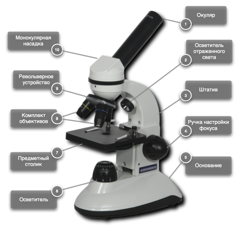 Строение микроскопа макровинт