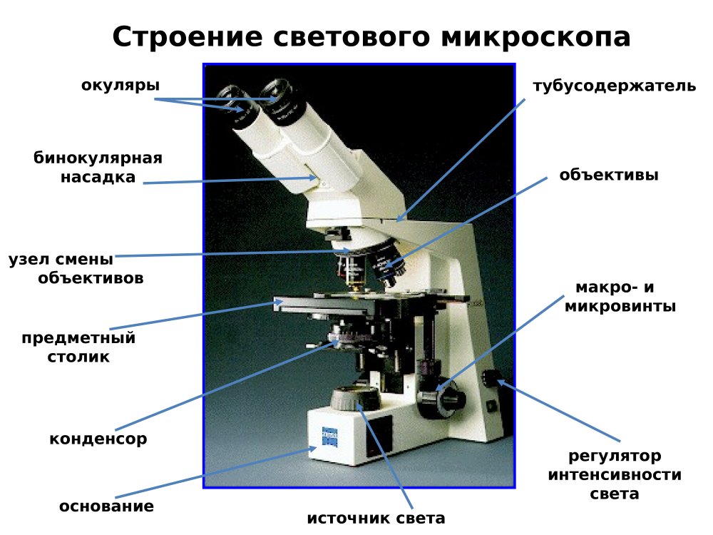 Световой микроскоп строение конденсор