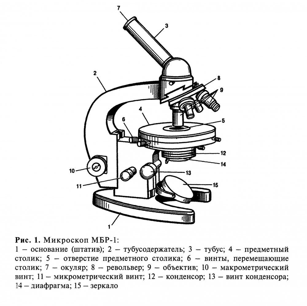 Схема светового микроскопа МБР-1