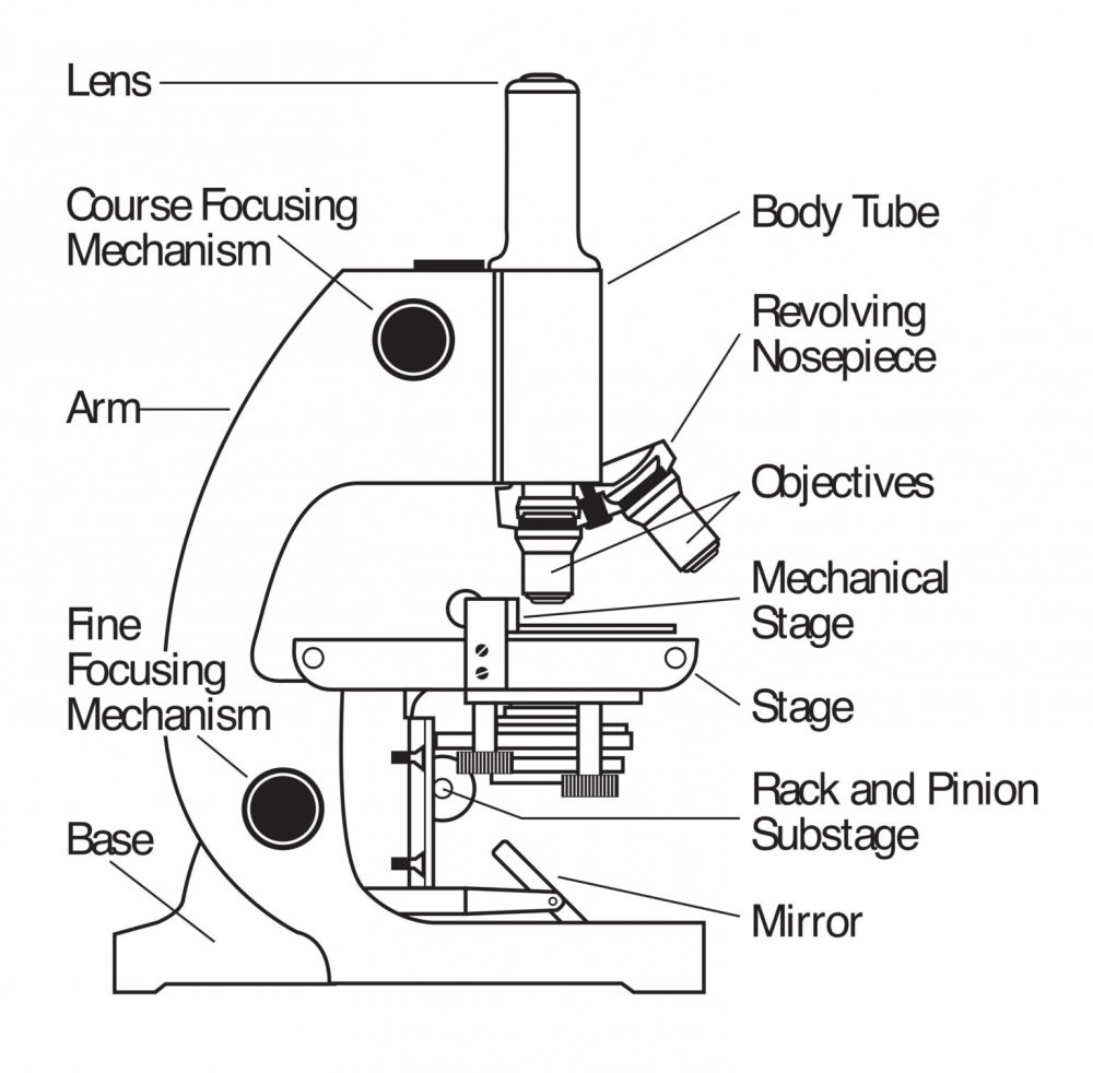 Схематичный рисунок строение микроскопа