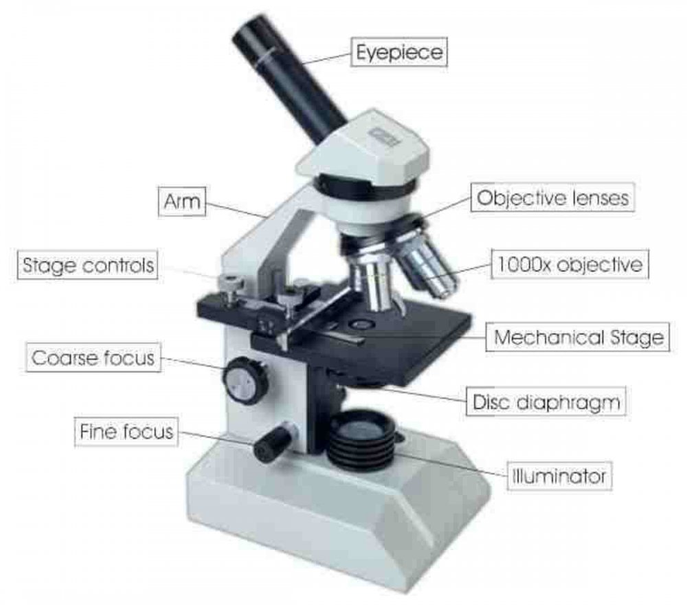 Электрический и оптический микроскоп