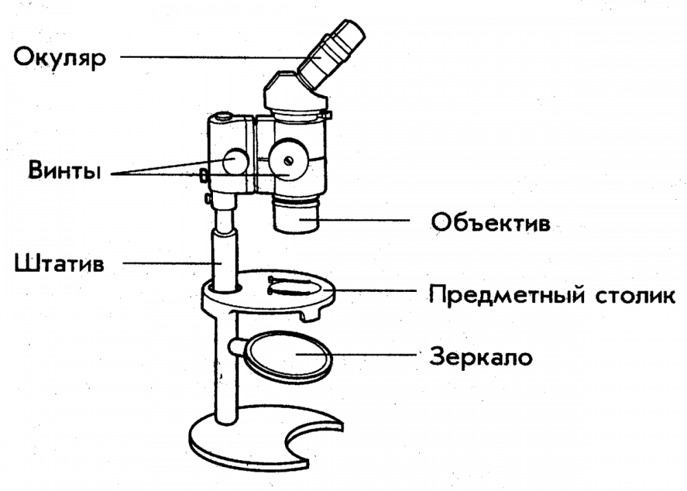 Строение микроскопа схема части