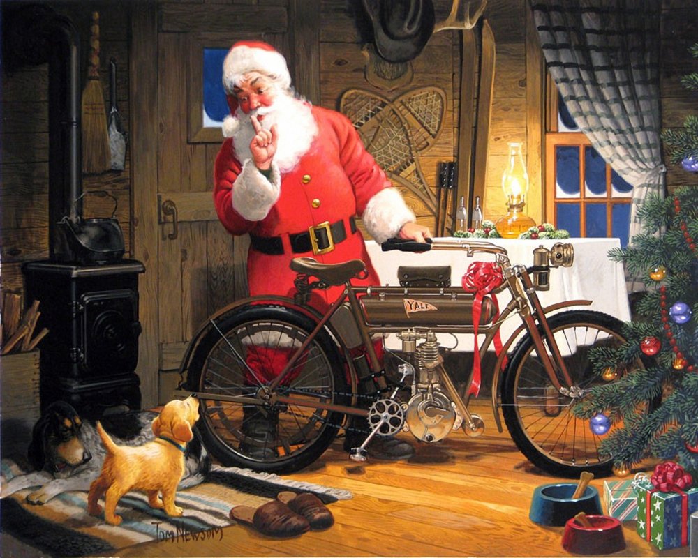 Дед Мороз на велосипеде