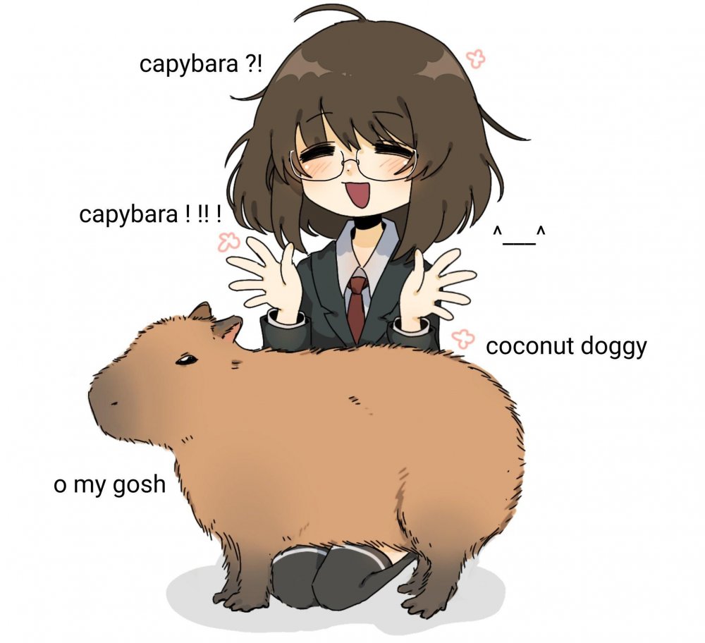 Capibara Coconut doggy