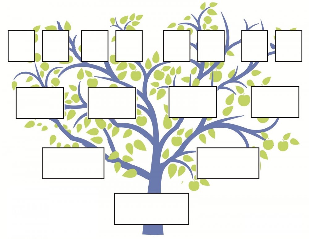 Генеалогическое дерево семьи снизу вверх