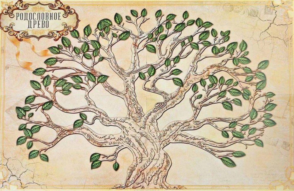 Родословное дерево Шежере