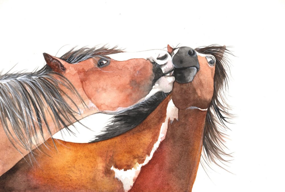 Рисунки смешных лошадей акварелью