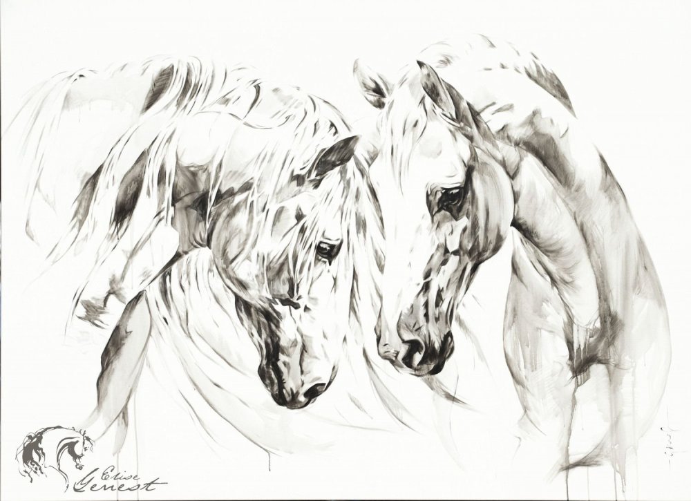 Крутые рисунки лошадей