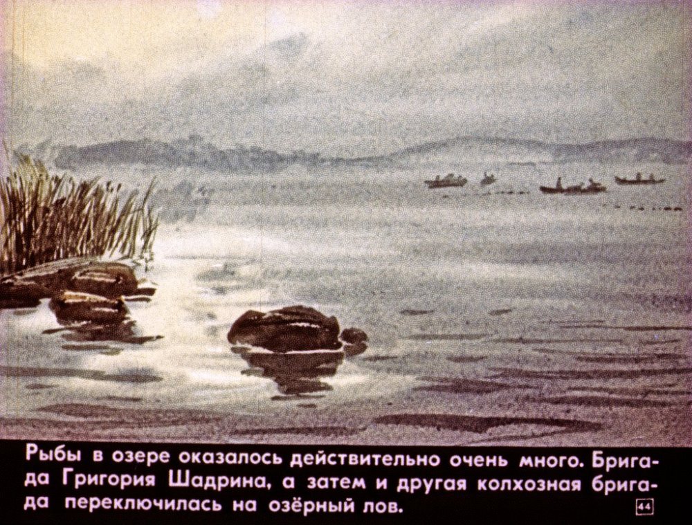 Васюткино озеро Глухарь