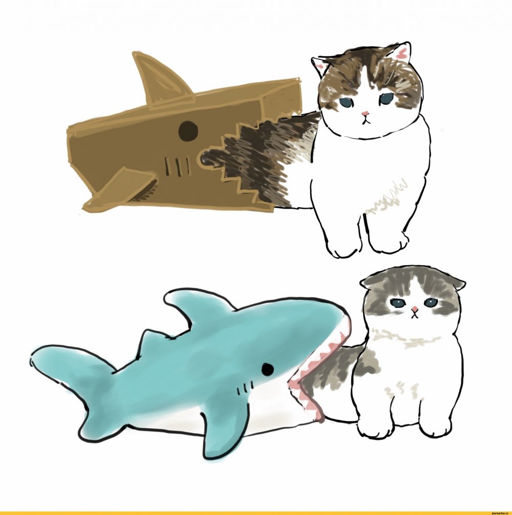 Милые котята в костюме акулы