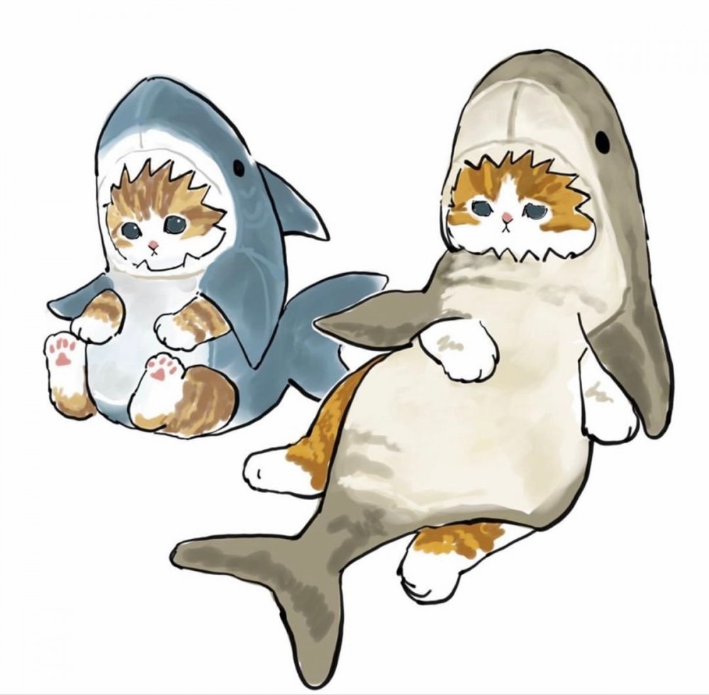 Котёнок в костюме акулы арт