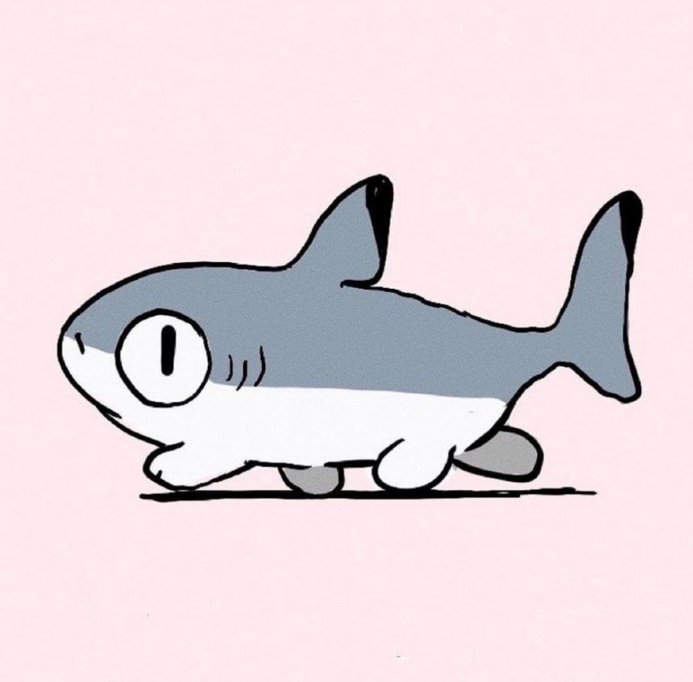 Yogin幺菁 Shark Cat