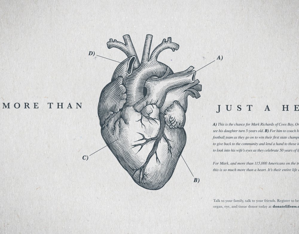 Сердце анатомия Минимализм