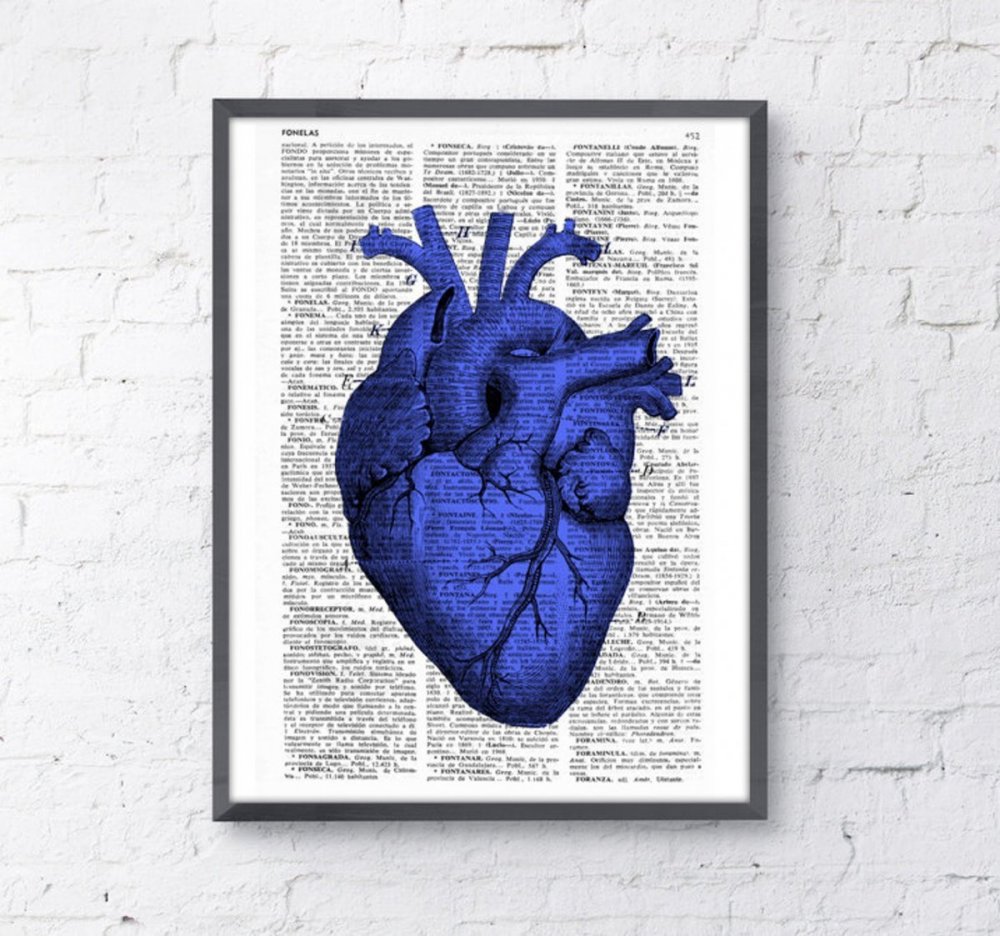 Анатомическое сердце синий