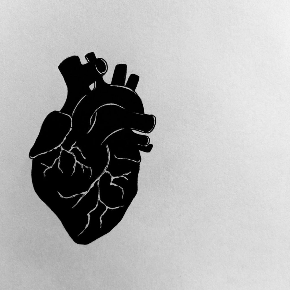 Серце человека черо белое