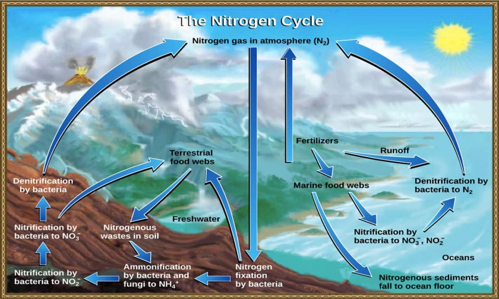 Геохимический цикл углерода