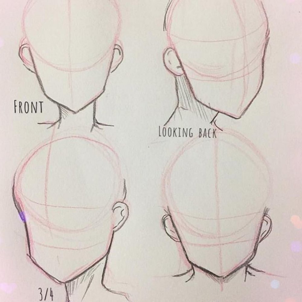 Анатомия головы для рисования аниме