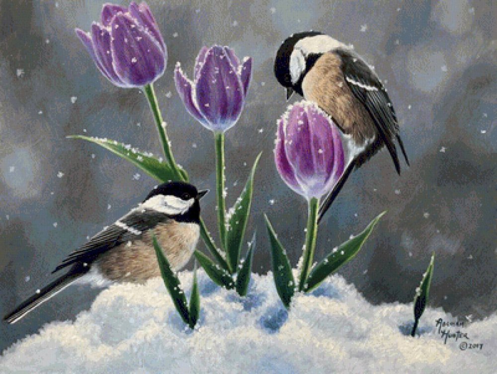 Весна зимой птицы