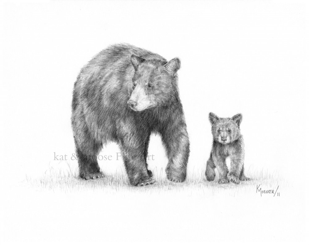 Медведица с медвежатами эскиз