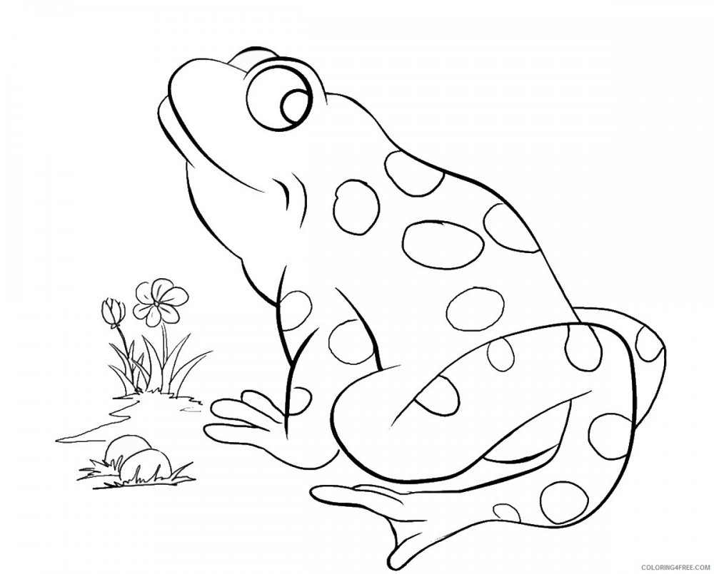 Сказка о жабе и Розе раскраска