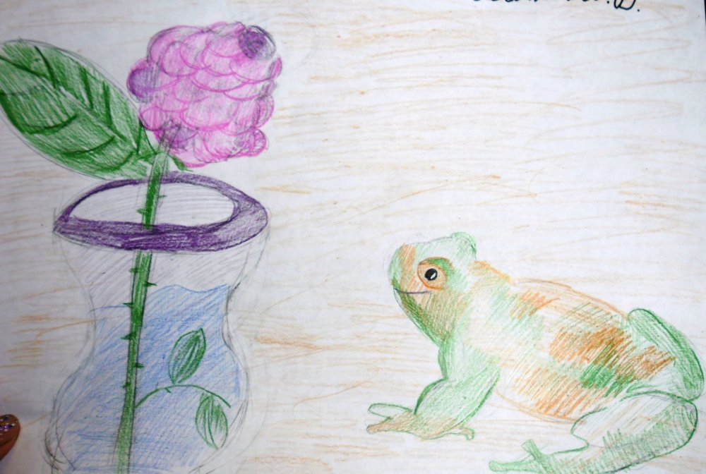 Рисунок жаба и роза карандашом