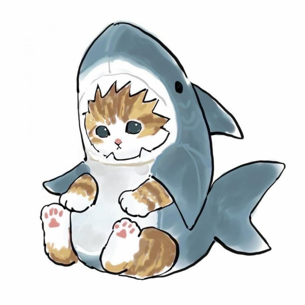 Милый котик в костюме акулы