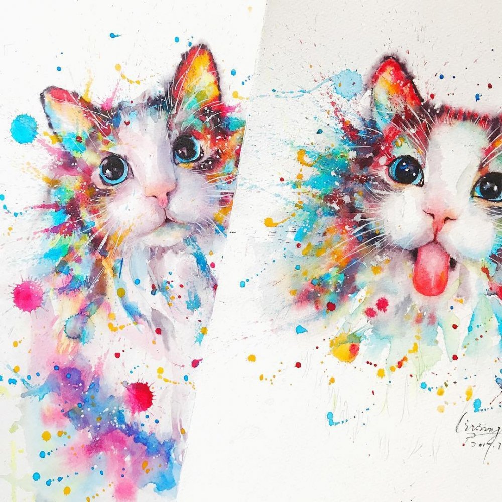 Разноцветные коты