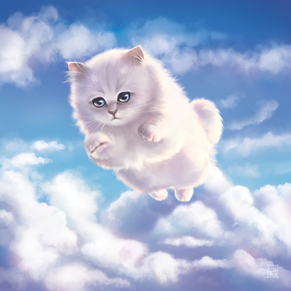 Кот облако