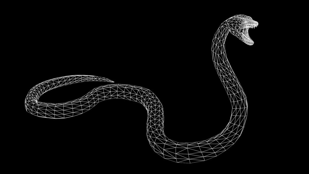 Змея на черном фоне