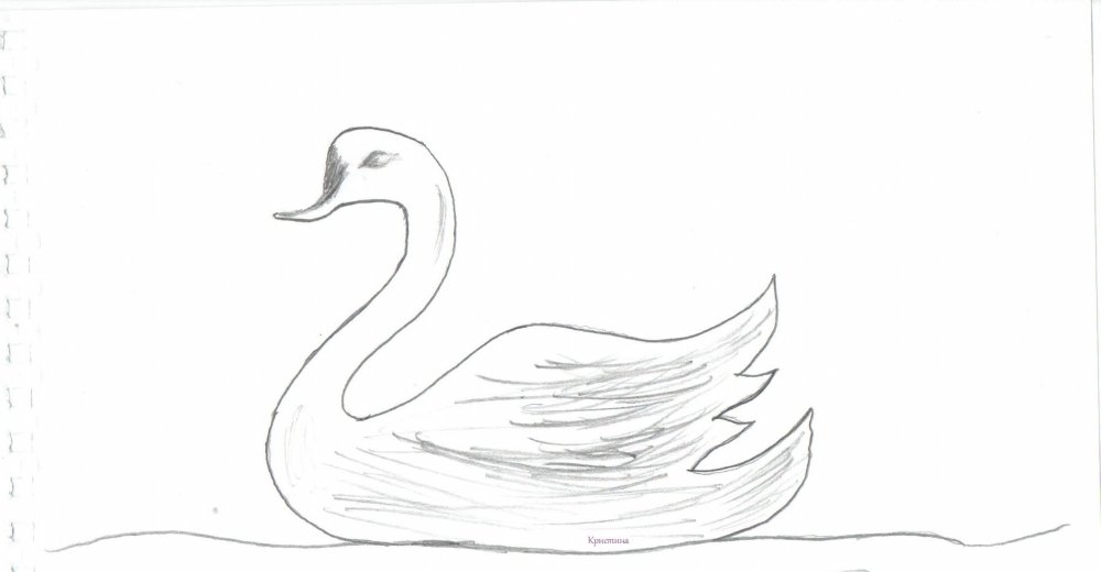 Лебедь картинка для детей
