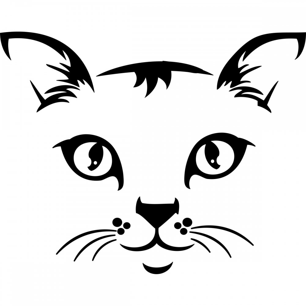 Мордочка кошки рисунок