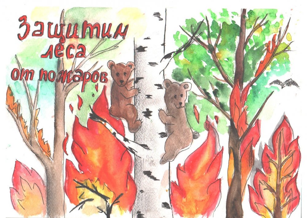 Рисунок на тему берегите лес от пожара
