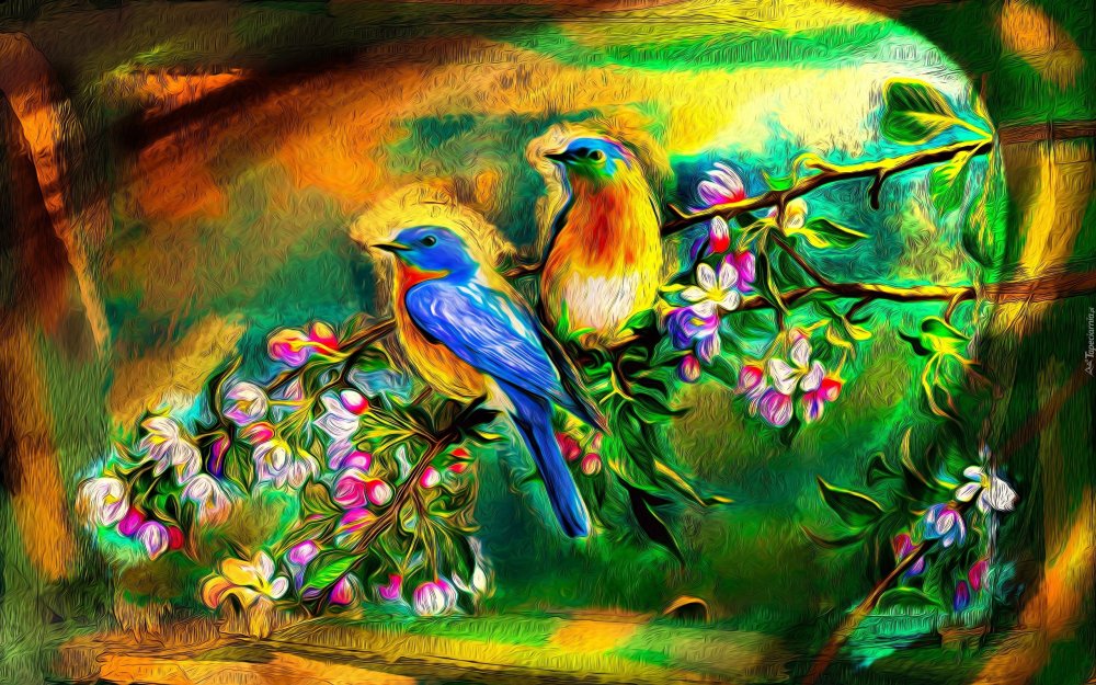Райские птицы картины