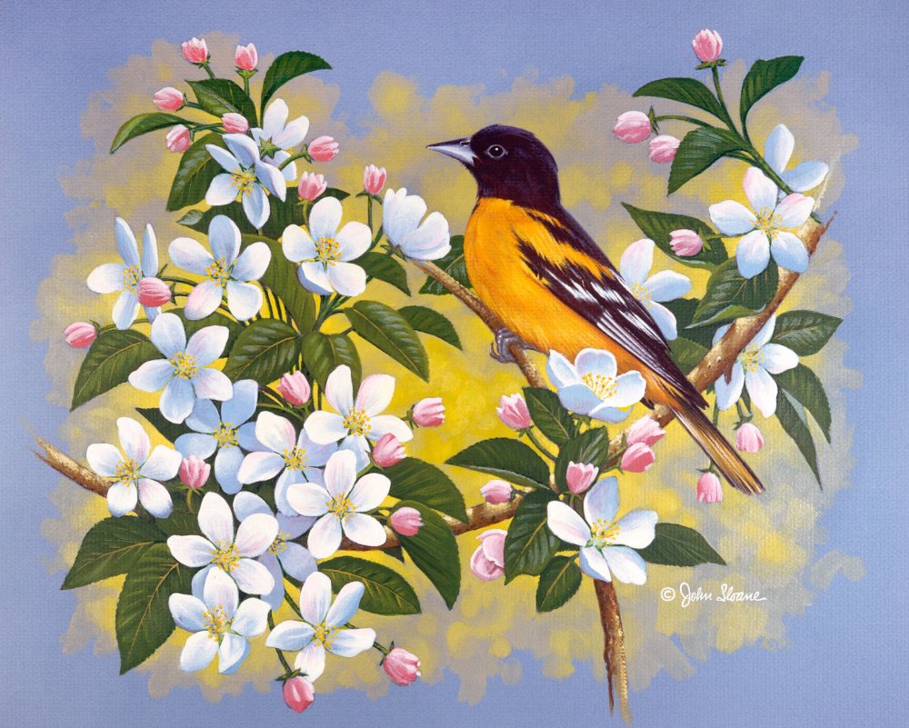 Картины птицы и цветы